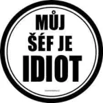 Zvětšit fotografii - Můj šéf je idiot